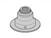 Dichtring, Ventilschaft Valve Stem Seal:06 42 501